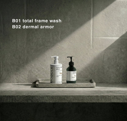 BODY STARTER SYSTEM [S03]