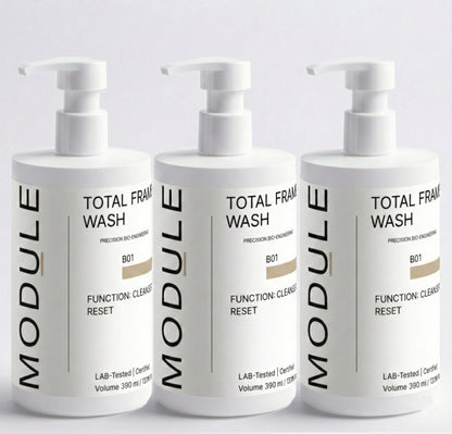 TOTAL FRAME WASH [B01]